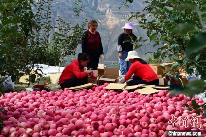 点击进入下一页 点击进入下一页